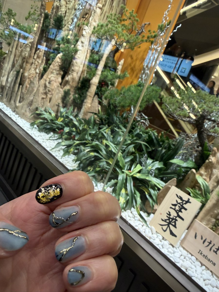 終わらない正月