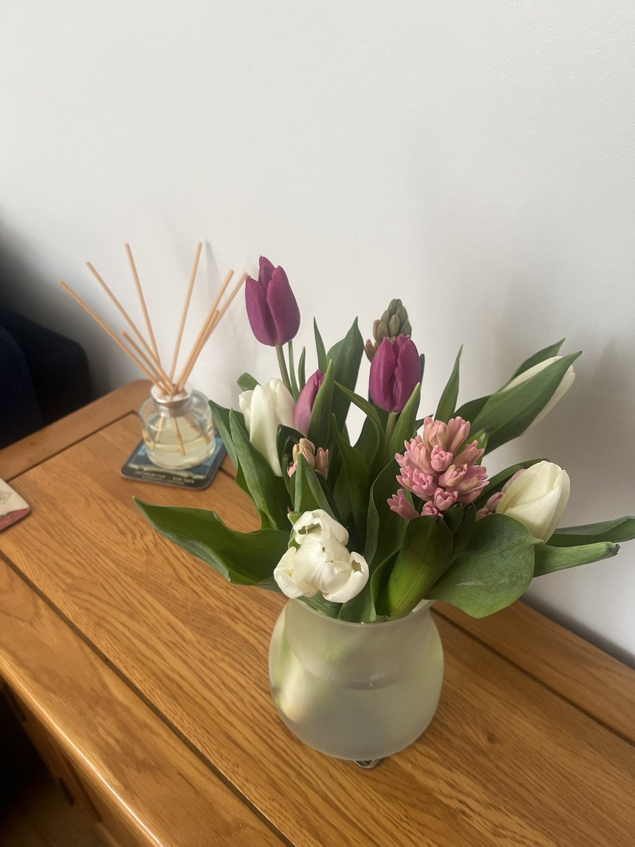 A reminder that it’s not long until spring. In the mean time I will have to make do with tulips and hyacinths bringing me joy.  😍😍