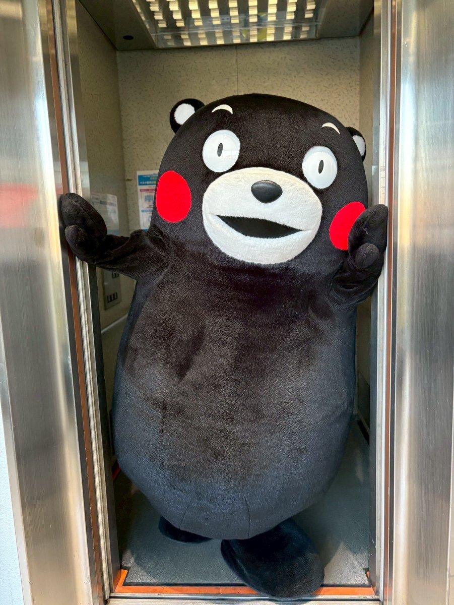 くまモン【公式】 (@55_kumamon) / Posts and Replies / X