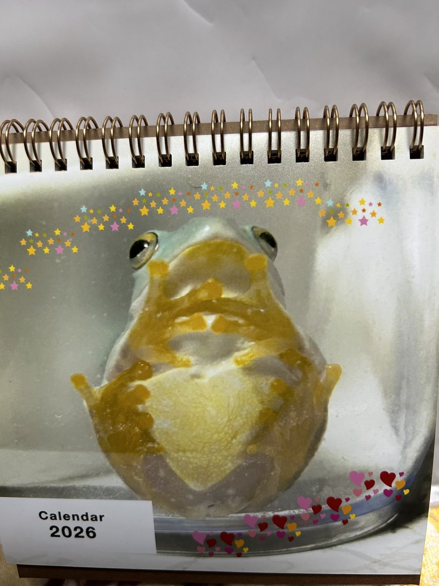 taechan04's tweet photo. こんばんは😊
今日は娘と🐸カレンダー作ってきました😊 https://t.co/OCM8GQuuTS