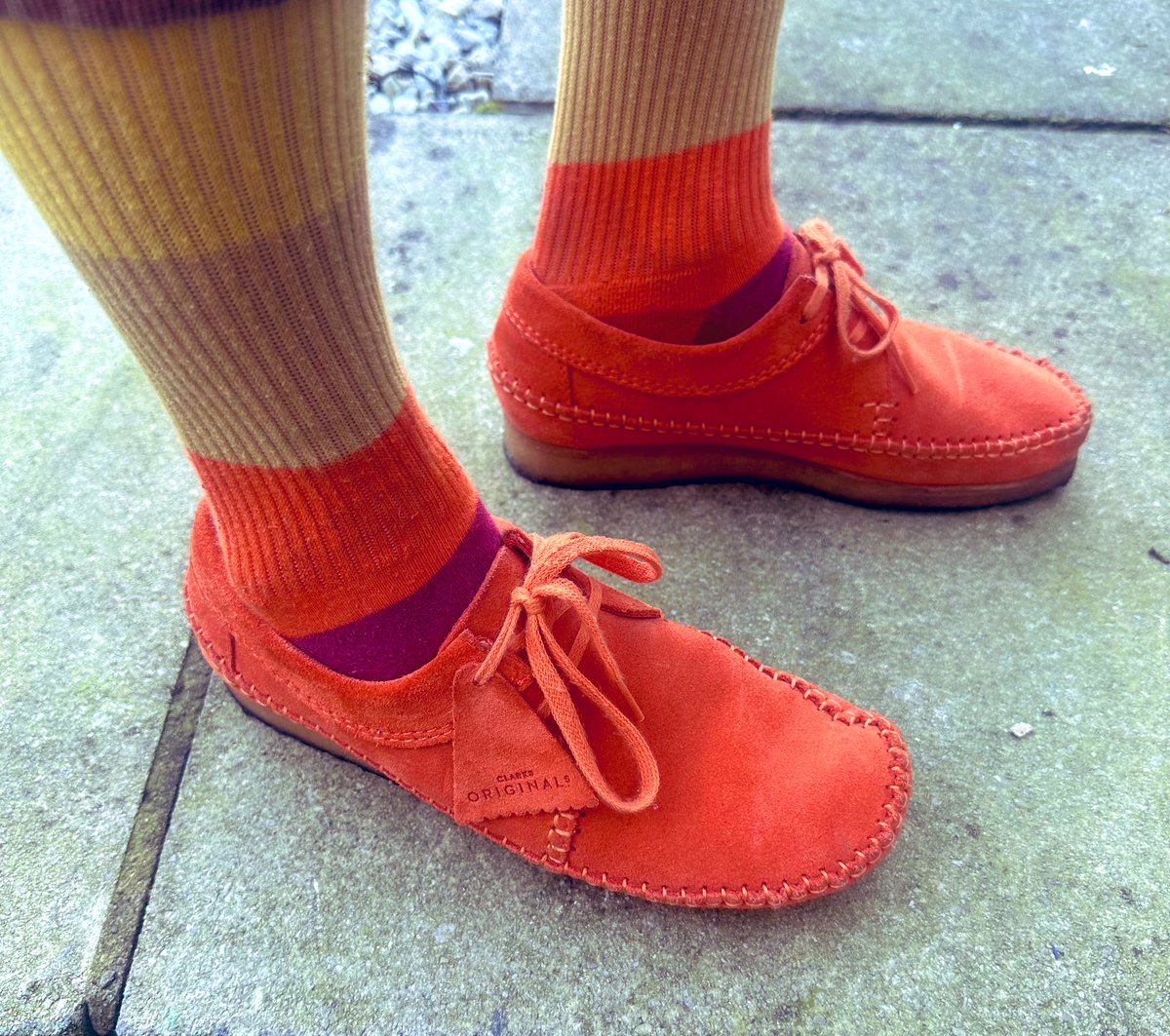 Hoodie1973's tweet photo. Cheeky little 
#socksoutsaturday
@SockCouncil https://t.co/Y30a7gbtSk