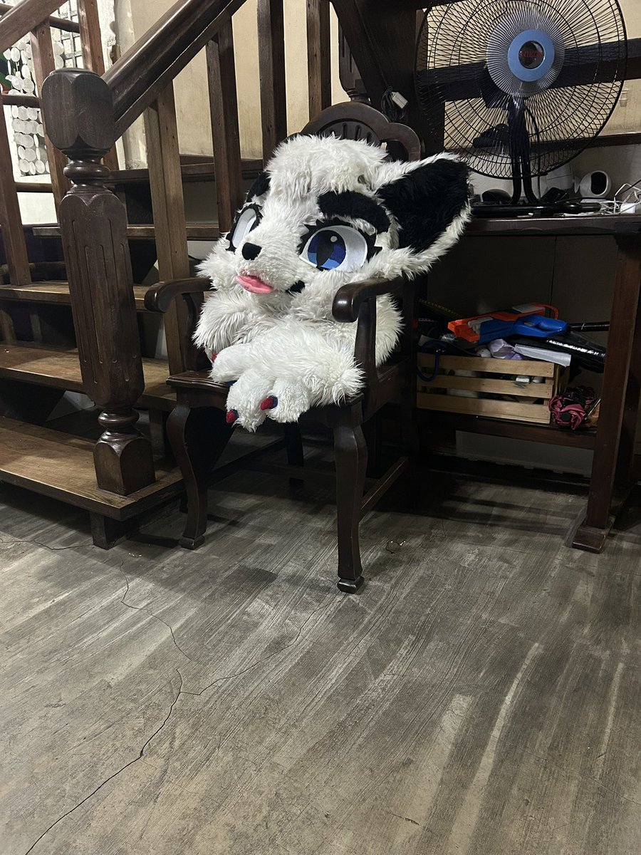 AllaisterFox tweet media