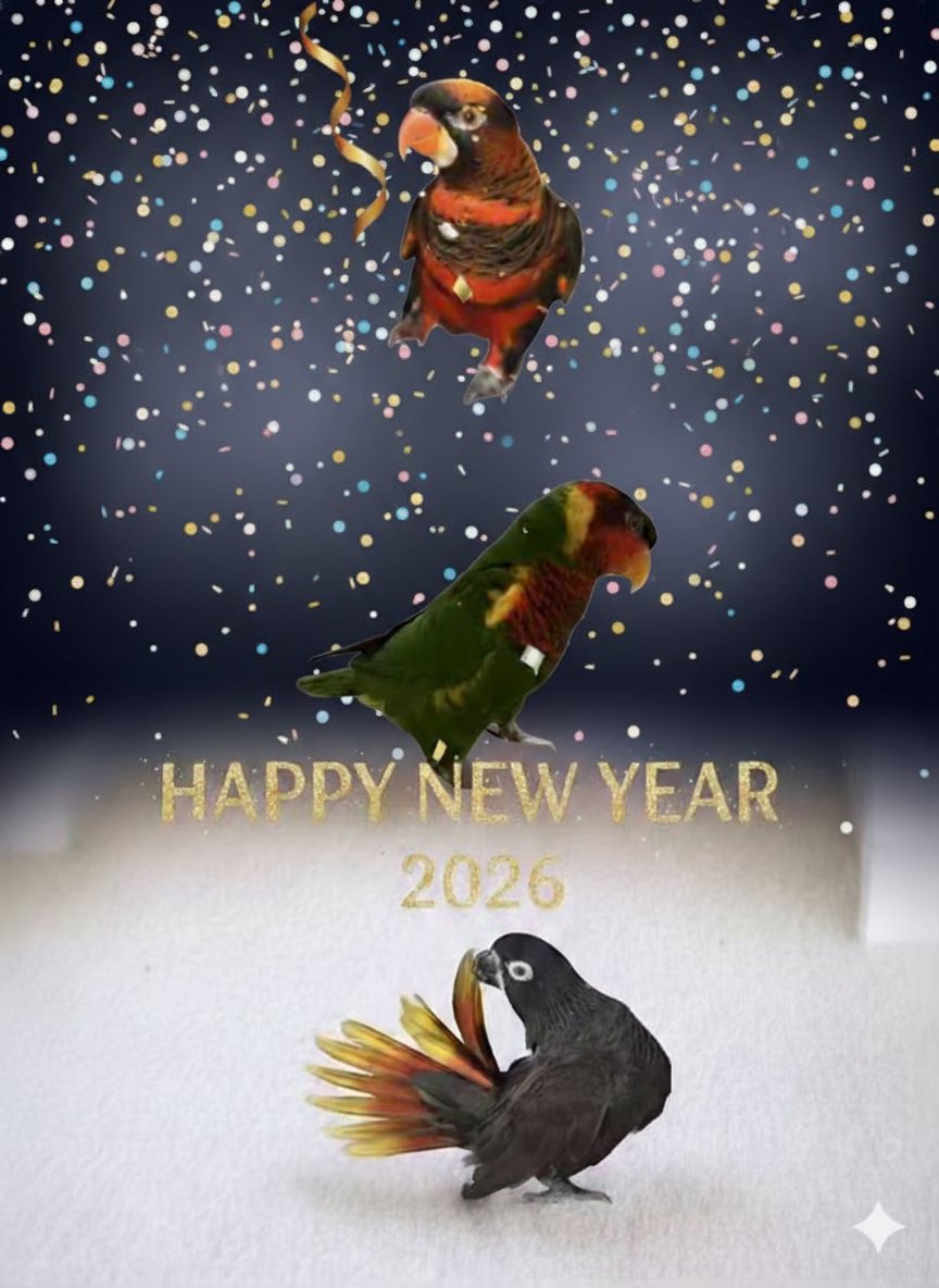 54bbee's tweet photo. 遅くなりましたが今年もよろしくお願いします https://t.co/oGwdWqHGfs