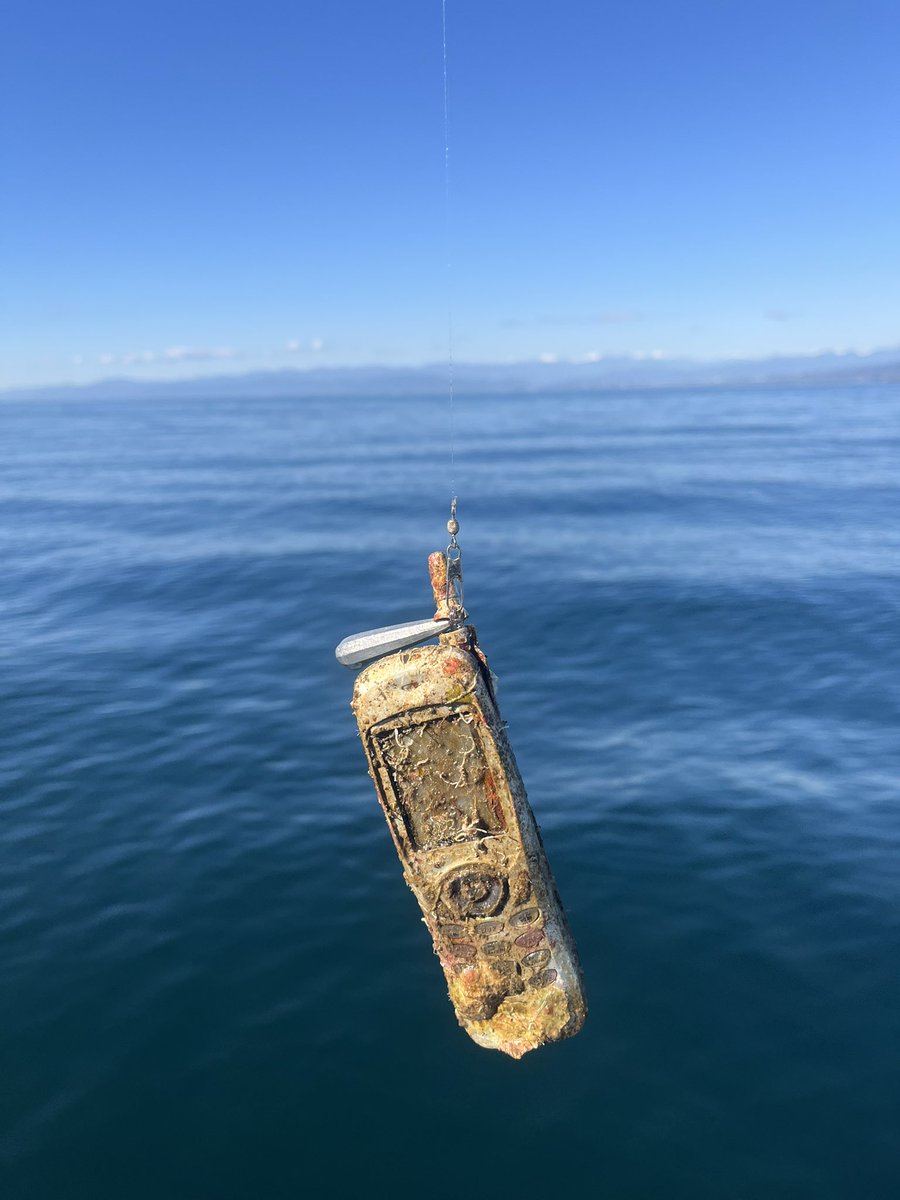 Bass_angler46's tweet image. 奇跡のフッキングw
落とした方いましたらご連絡を😬ww