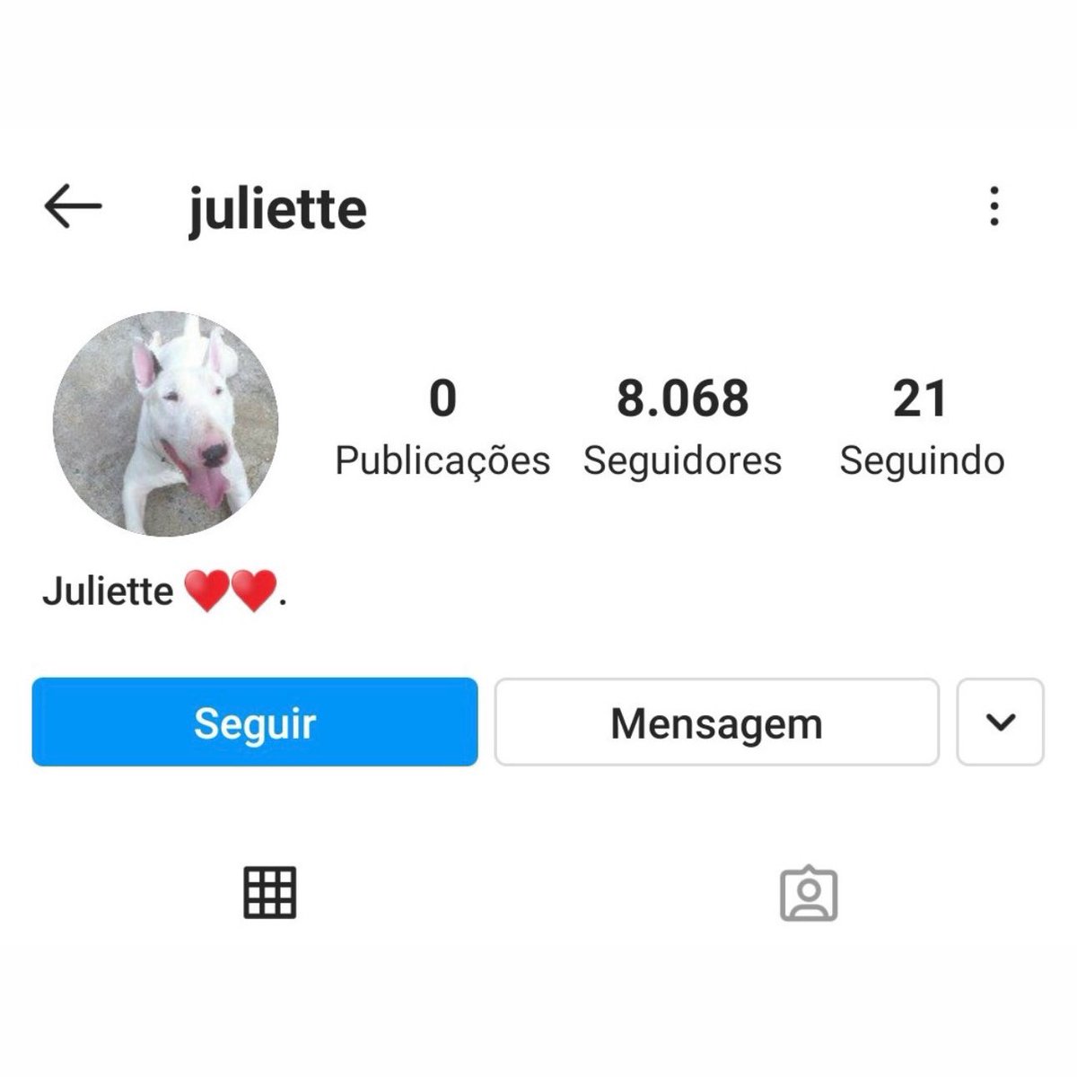 PAIVA tweet media