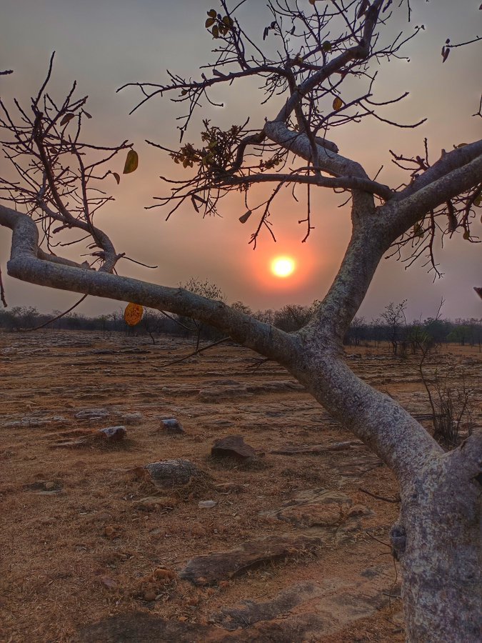 निसर्गाजवळ गेलो की ‘मी’ थोडा कमी होतो आणि शांतता वाढते.....