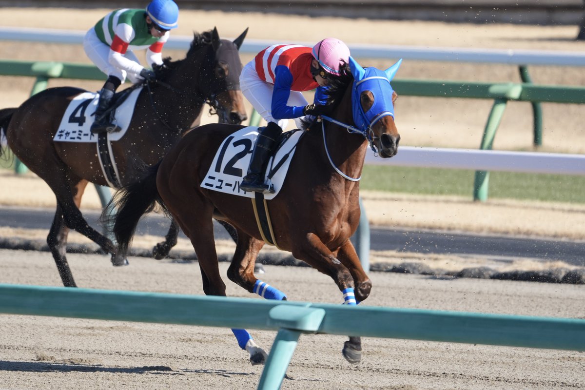 2026/01/10 中山4R 3歳新馬戦 ニューハイ & 遠藤汰月J (ナカヤマ