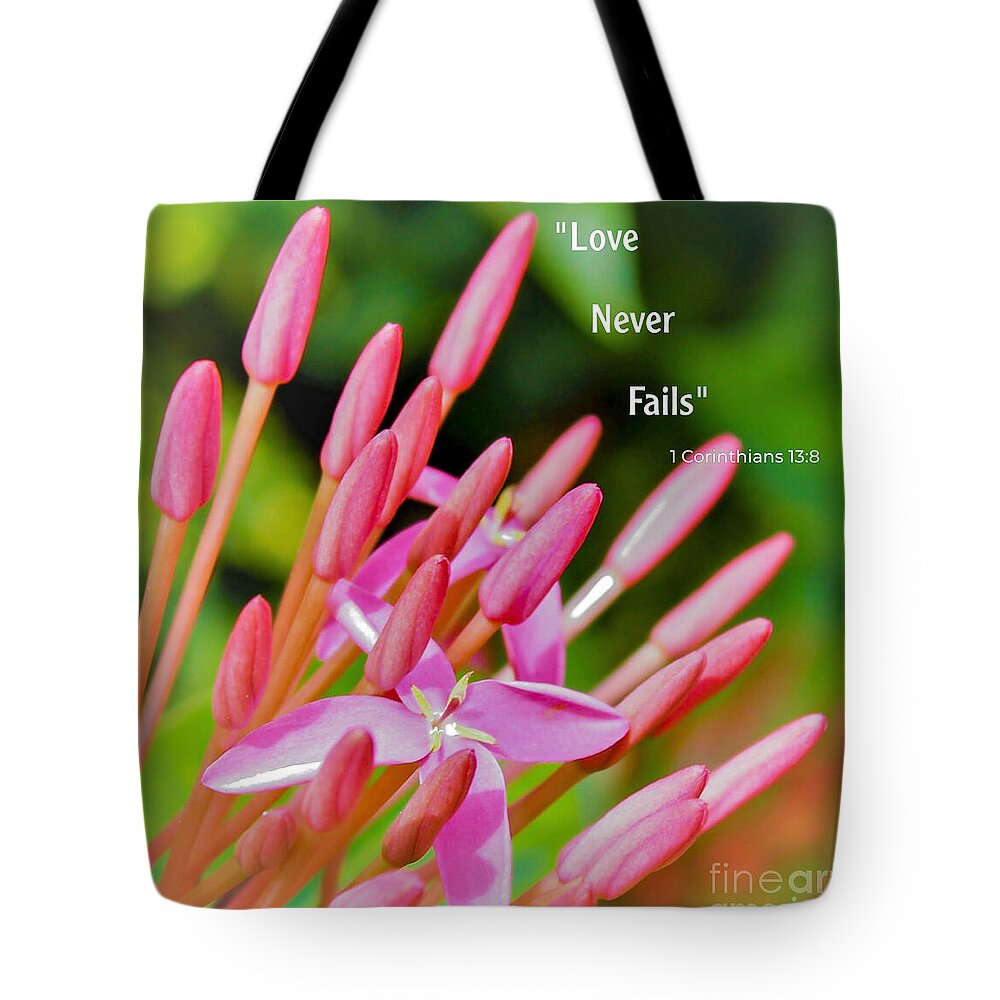 JoanneCarey64's tweet photo. "Ixora Blooms with Inspirational Quote" #totebag 🩷
#NaturePhotography #Ixora #flowers #bags #inspirationalquotes #LoveNeverFails 

Find this lovely image in the Flowers and Leaves collection of my shop https://t.co/q9w66BSeo3 https://t.co/MVjiV4YYcc
