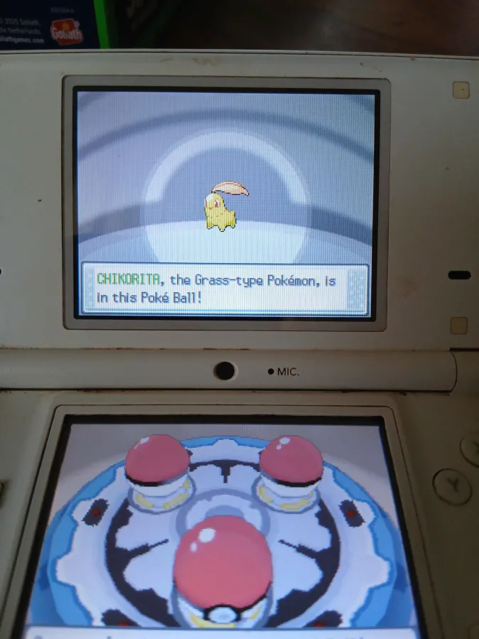 ShinyRowlet1's tweet photo. So uh thats kindoff crazy, maybe this will be the year that full odds is nice to me I already have 2 of the full odds targets for this year, This Chikorita came after 948 Starters seen on my SoulSilver, now to get a Shiny Starter for my HeartGold aswell https://t.co/vXrYJ5bRwD