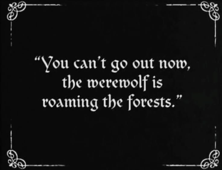 The Wolfman (☥𝐃𝐁) tweet media