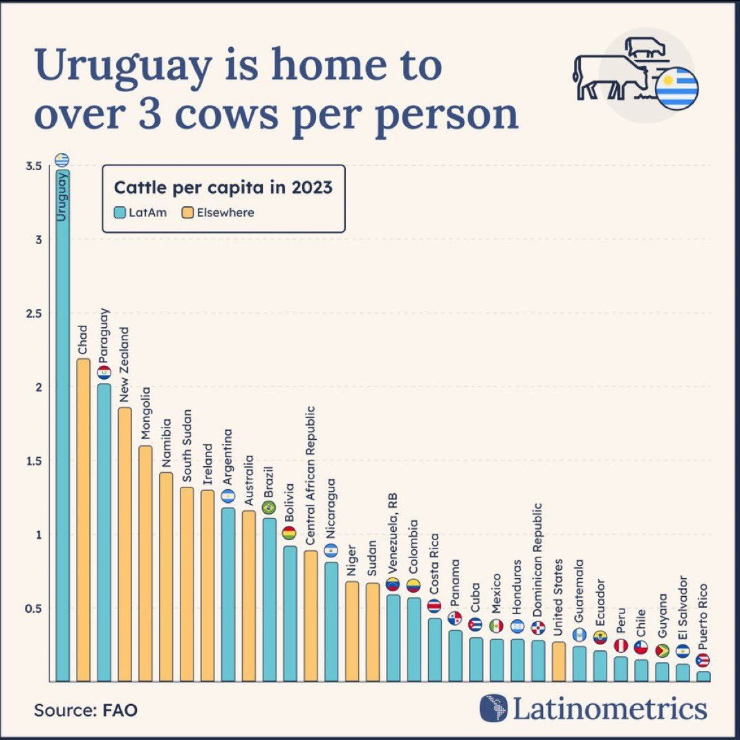 Miss_Royal73's tweet image. Er zijn nog steeds blokkades in Frankrijk. 🚜🚜
Dít is wat de #boeren zo boos maakt 👇🏻

De #Mercosur-handelsovereenkomst zal de landbouw in de EU kapotmaken. Het creëert een #vrijhandelszone tussen Zuid-Amerika en Europa.

Zo heeft Uruguay bijvoorbeeld 3,5 #koeien per persoon in…