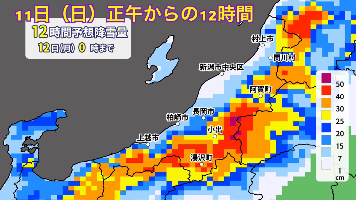 kumokumoayame's tweet photo. 【新潟　11日（日）の雪の見通し】

▶︎最初雨でも昼過ぎから大雪ピーク　
吹雪にも注意

平地
JPCZがかかる上越や中越は
午後は平地も雪が強まり積雪増加で
大雪の可能性も
新潟市はお昼頃から雪多少積雪に

山沿い
下越（福島・山形県境）も雪強まる
上越・中越は夕方以降は降雪強まり
夜も積雪増加 https://t.co/zJMSvrVxGN