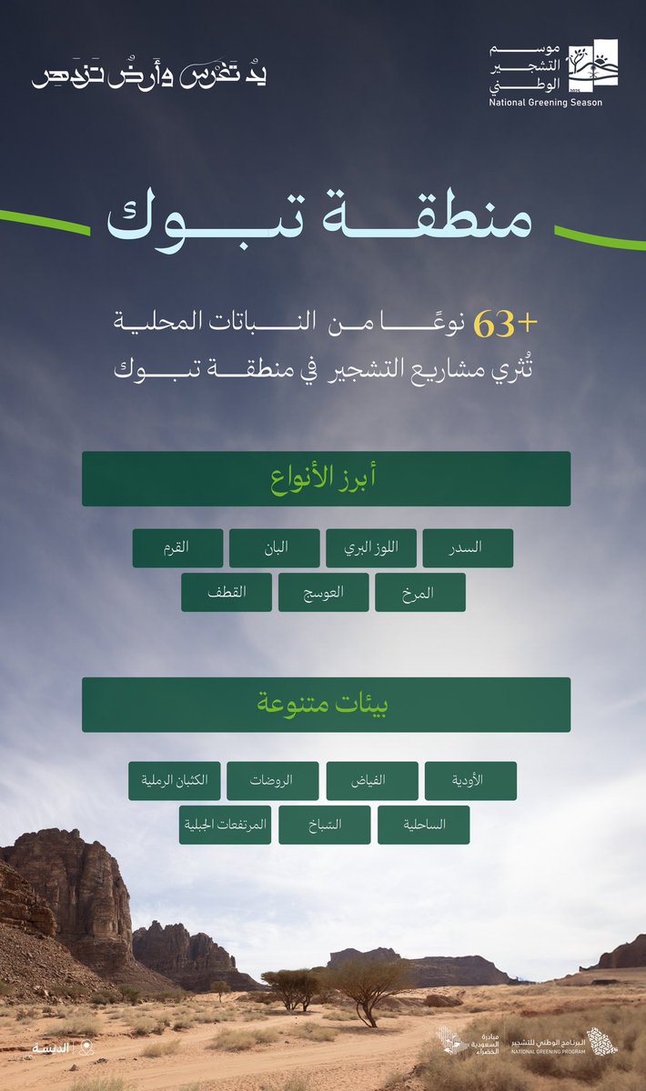 أكثر من 63 نوعًا من النباتات المحلية الملائمة للتشجير في منطقة تبوك.