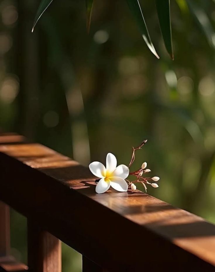 الشُوق أحتلني وكُل مافيني يبيك.♥️