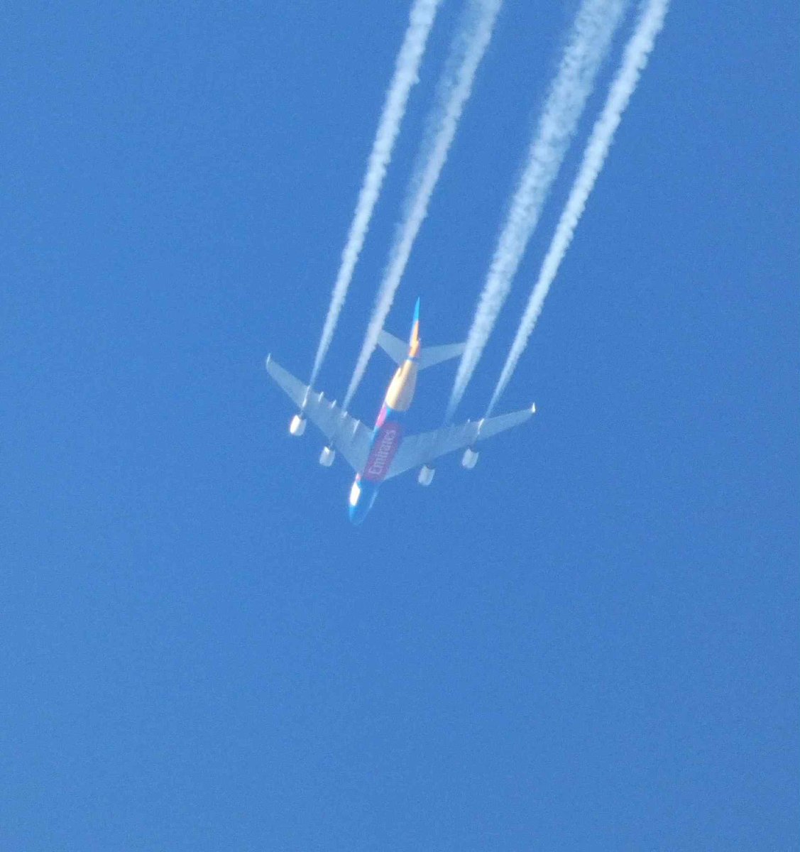 Bower Park Academy tweet media