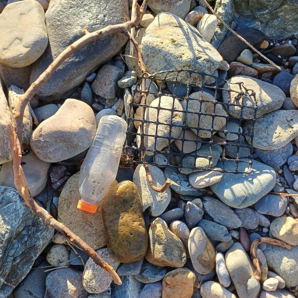 Clean Coasts tweet media