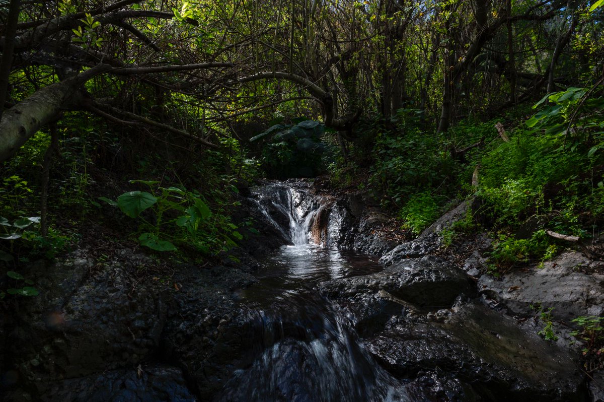 💧 En Gran Canaria, los barrancos son mucho más que paisaje: recargan acuíferos, sostienen biodiversidad, reducen la erosión y ayudan a gestionar el agua en una isla con recursos limitados. Cuidarlos es proteger el territorio y mantener vivos ecosistemas. 🌿

 #Agua #GranCanaria