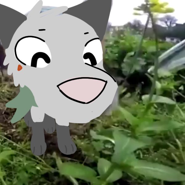 nofferston's tweet image. sniff