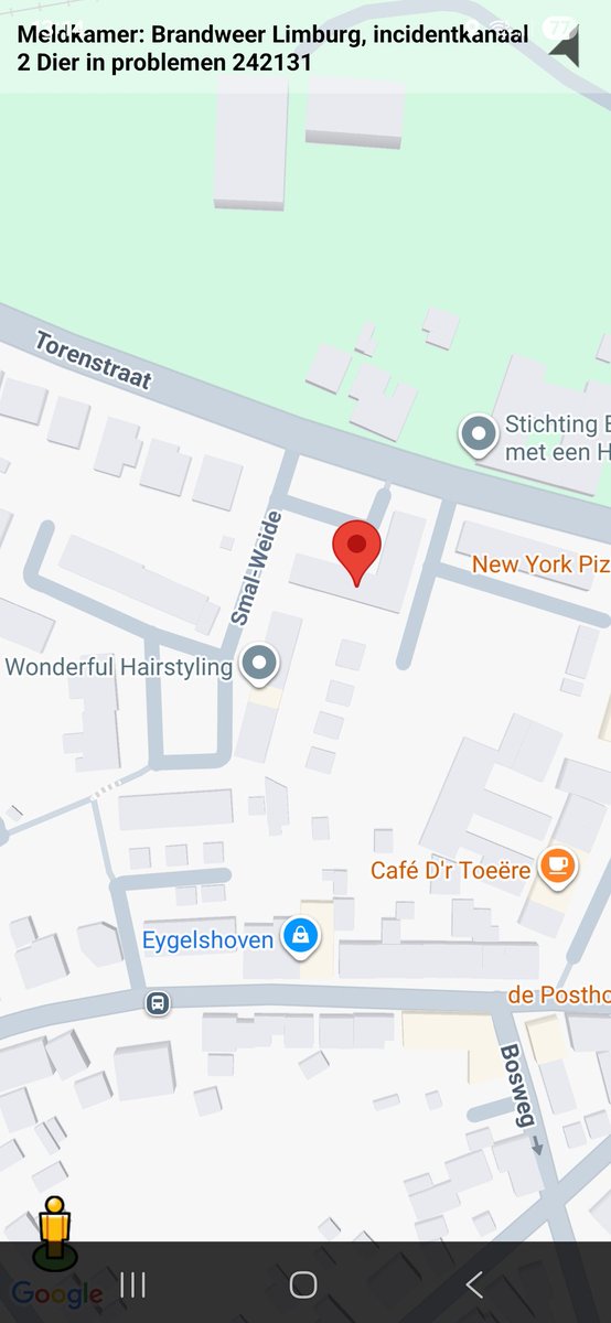 Dier in de problemen