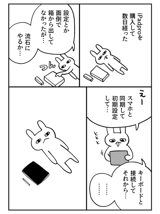 変化苦手マン、iPadproを買う

#グレうさぎ日記チャレンジ  1165日目 