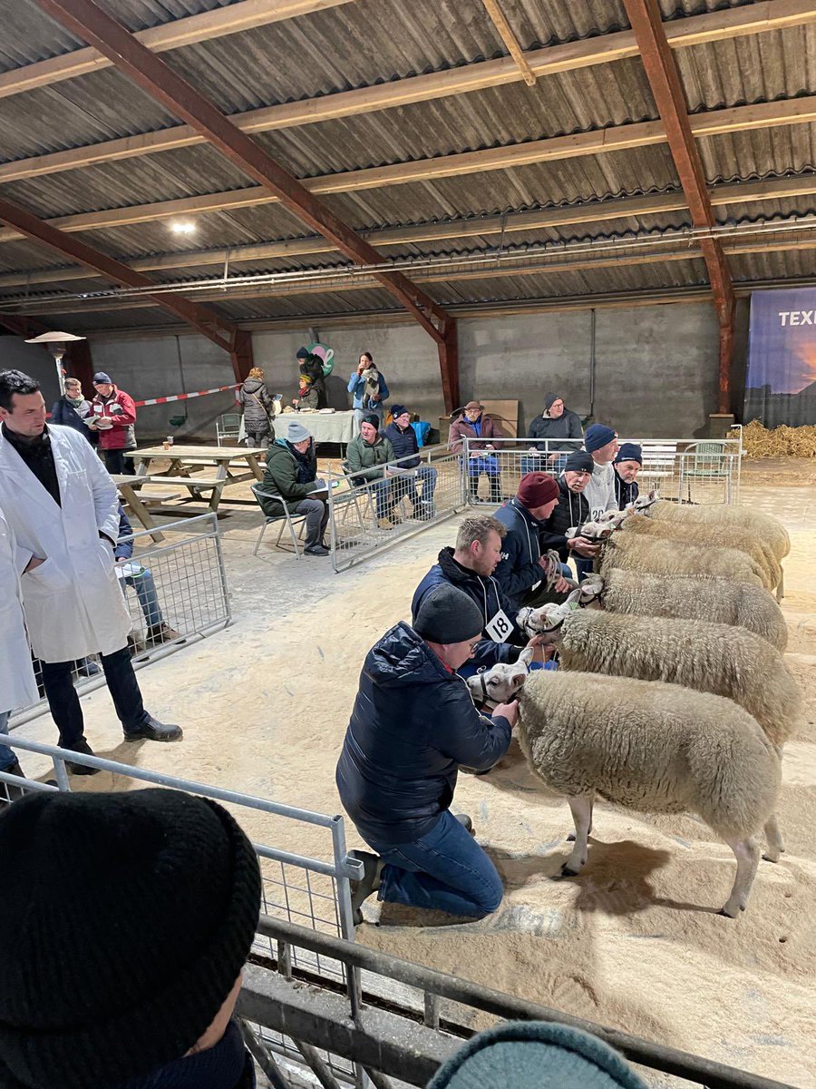 Wezenspyk's tweet photo. Wie wordt Miss Texel? #keuring https://t.co/ERxdO8RzoK