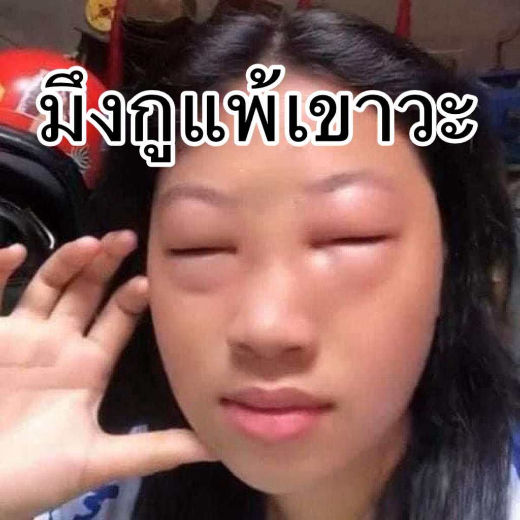หมีไข่ 🐻 tweet media