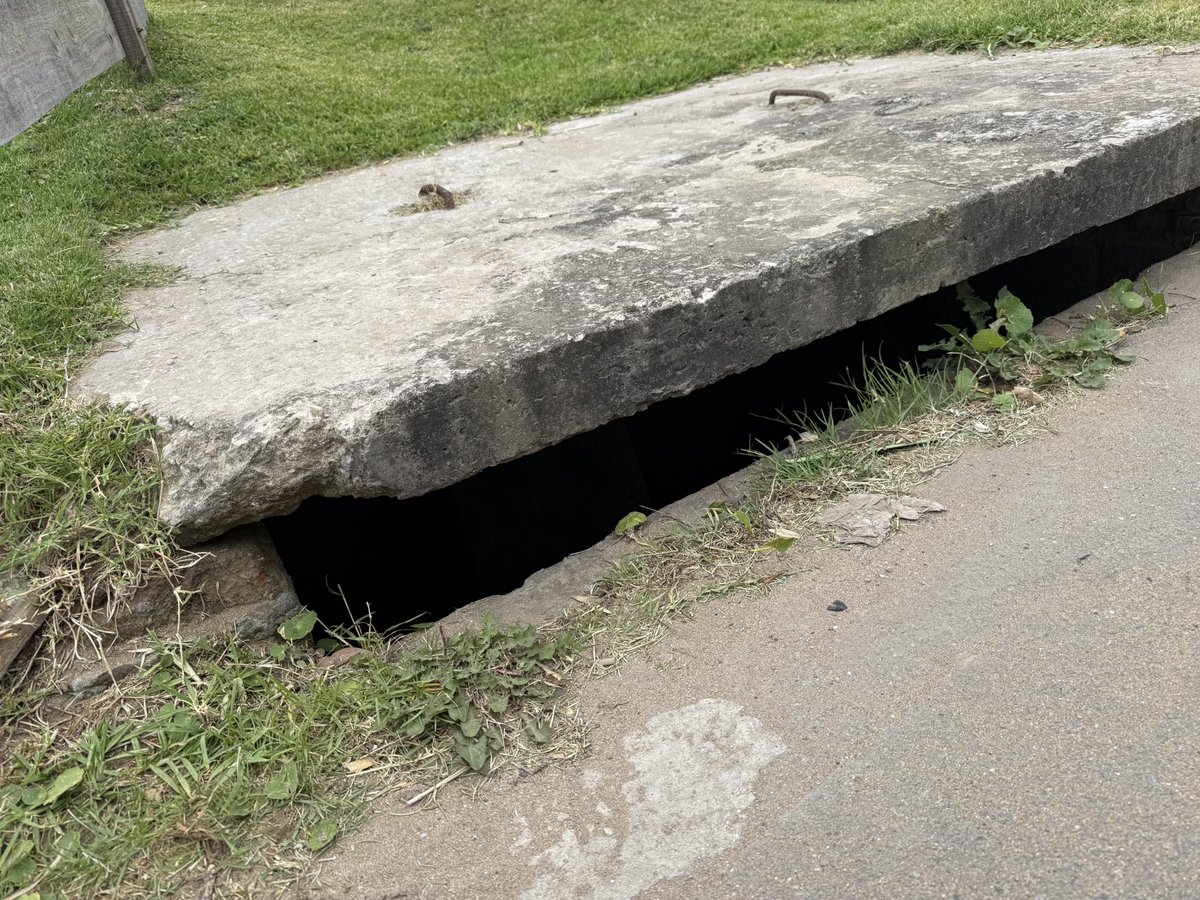 Buen día, <a href="/JuanIbarguren/">Juan Ibarguren</a>. En Burriquetas 198 hay esto. Suficiente para que un gato o perro chiquito se meta y no pueda salir.
¿Se podrá hacer algo?