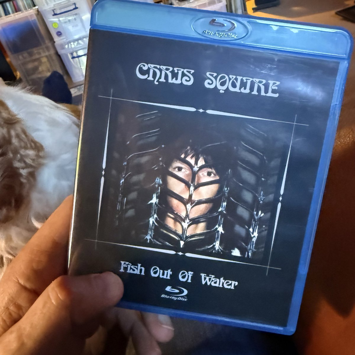 JonsVinyl's tweet photo. Chris Squire “Fish out of Water”
to play this today by @yesmusicpodcast 
#yessolo #chrissquire #yes #5.1 https://t.co/YrcPuhMvOY