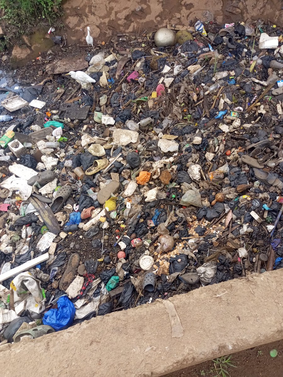 Human progress piled on nature’s edge a mirror showing how creation and destruction now share the same shore. 🌍💭
#EnvironmentalAwareness #PlasticPollution #WasteManagement #Sustainability #EcoConscious #ClimateAction #Recycling #SaveOurPlanet #GreenFuture #EarthWisd
#BBMzansi