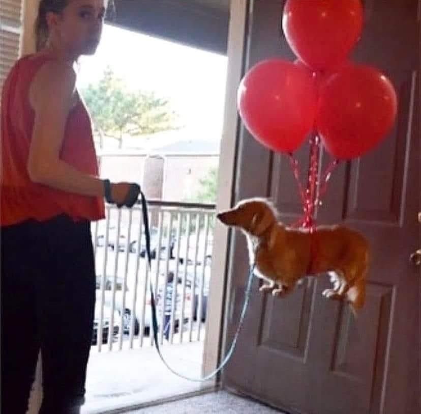 insane poses (@insaneposes) on Twitter photo 