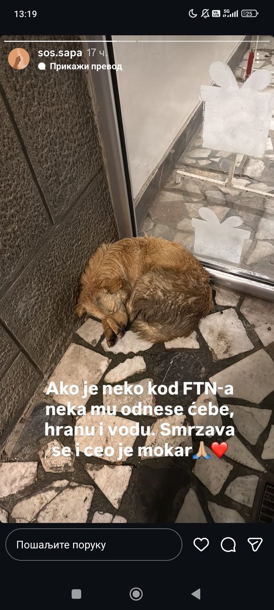 Kristal Met Dejmon (@sanjazivi) on Twitter photo 