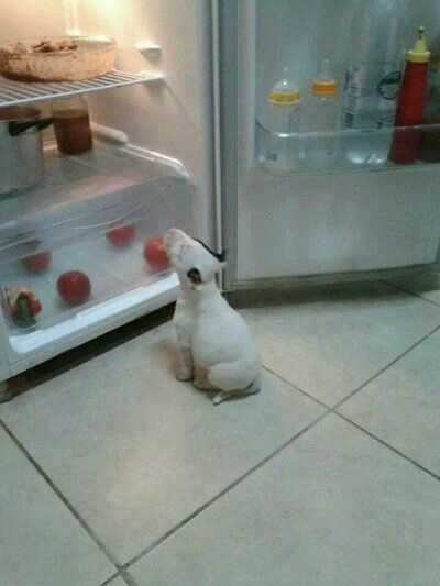 rtmkff's tweet image. it's me, if you even care