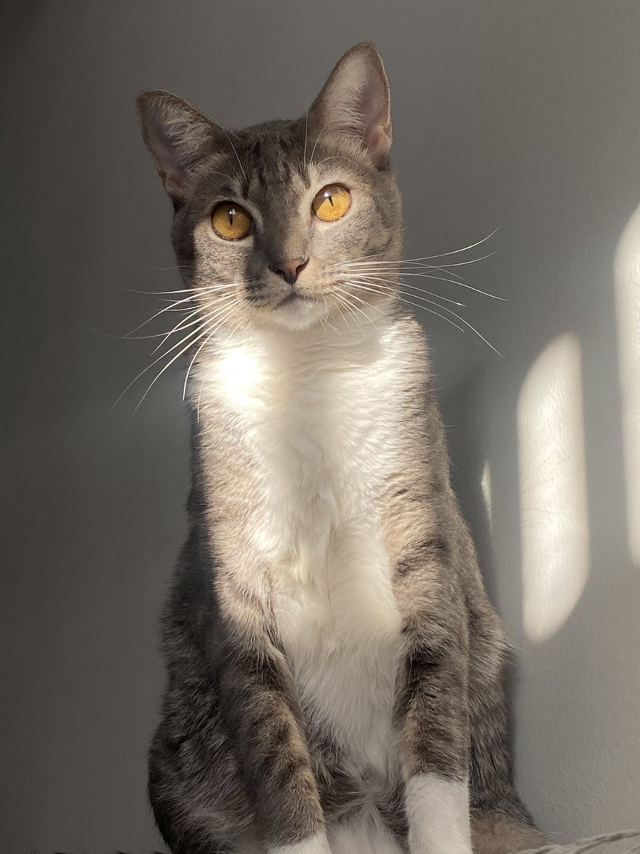 yadomtrapoixian's tweet image. Day 322 พอจะเป็นนางแบบได้ไม