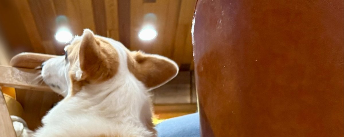 え！ そんな機能が？？？ ⳹ここをタップ⳼ ☝️