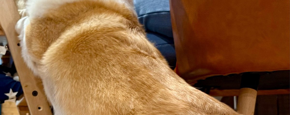 え！ そんな機能が？？？ ⳹ここをタップ⳼ ☝️