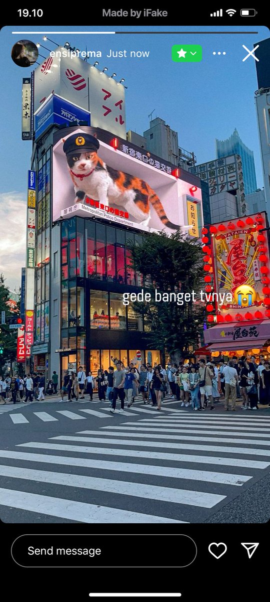 Juneeeee tweet media