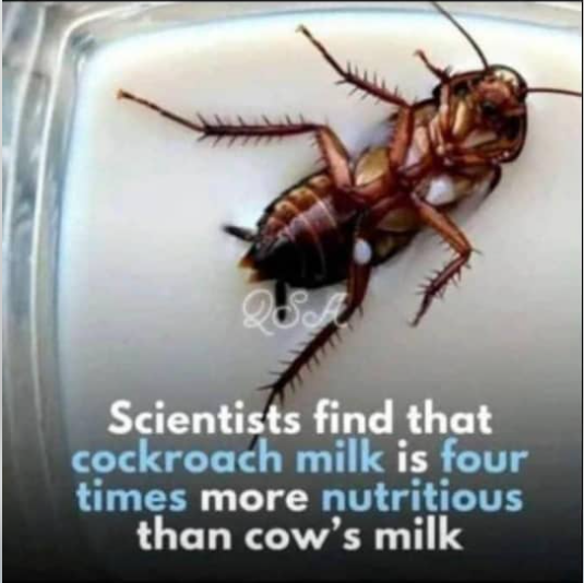 until dem break one scientist head 🤣😂 the rest no go rest😇 wetin be this? God Abeg!