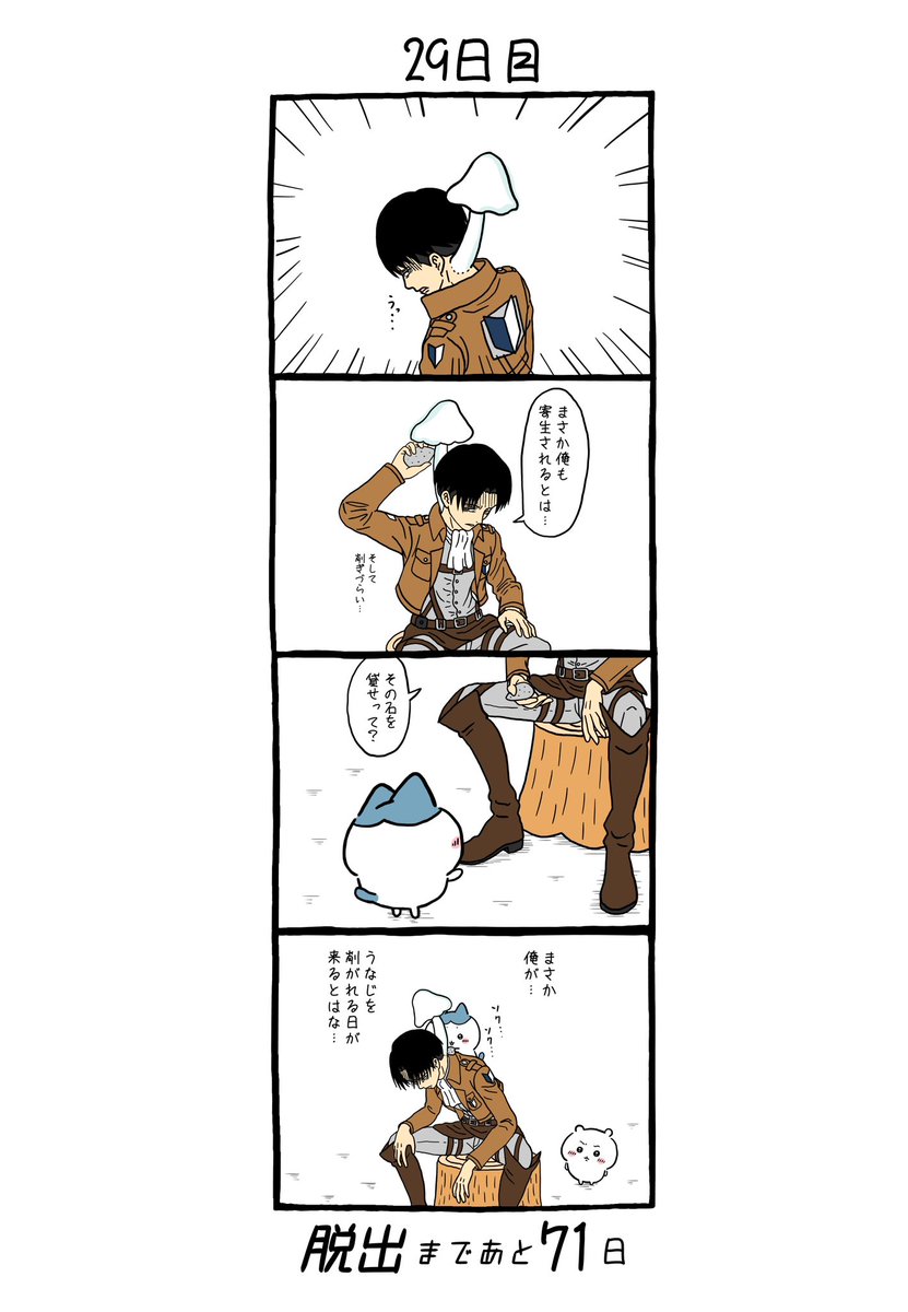 にゃっ太 (@427neko2) / Posts / X