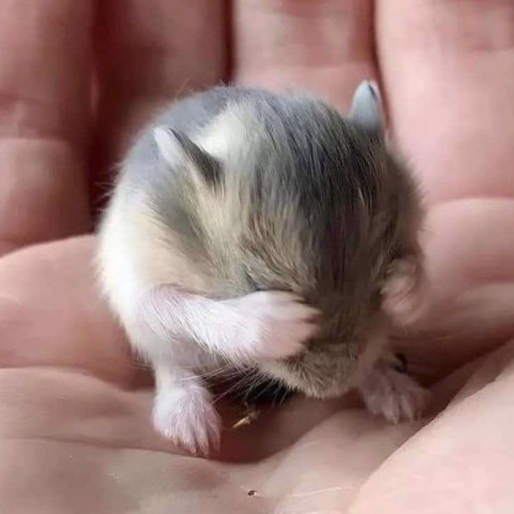 xeeszme's tweet image. 