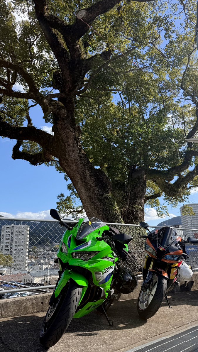 2026年初乗り＼＼(۶•̀ᴗ•́)۶//／／✨