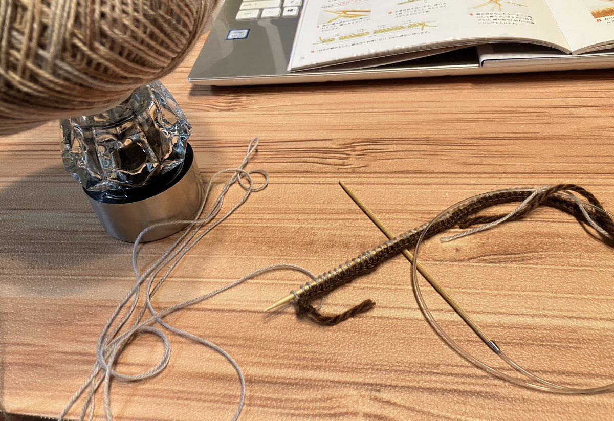 本を買って新しいものを編み始めた。
別鎖の作り目から。「鎖の糸を割ってしまうとあとで解けなくなるので注意」と恐ろしいことが書いてある。