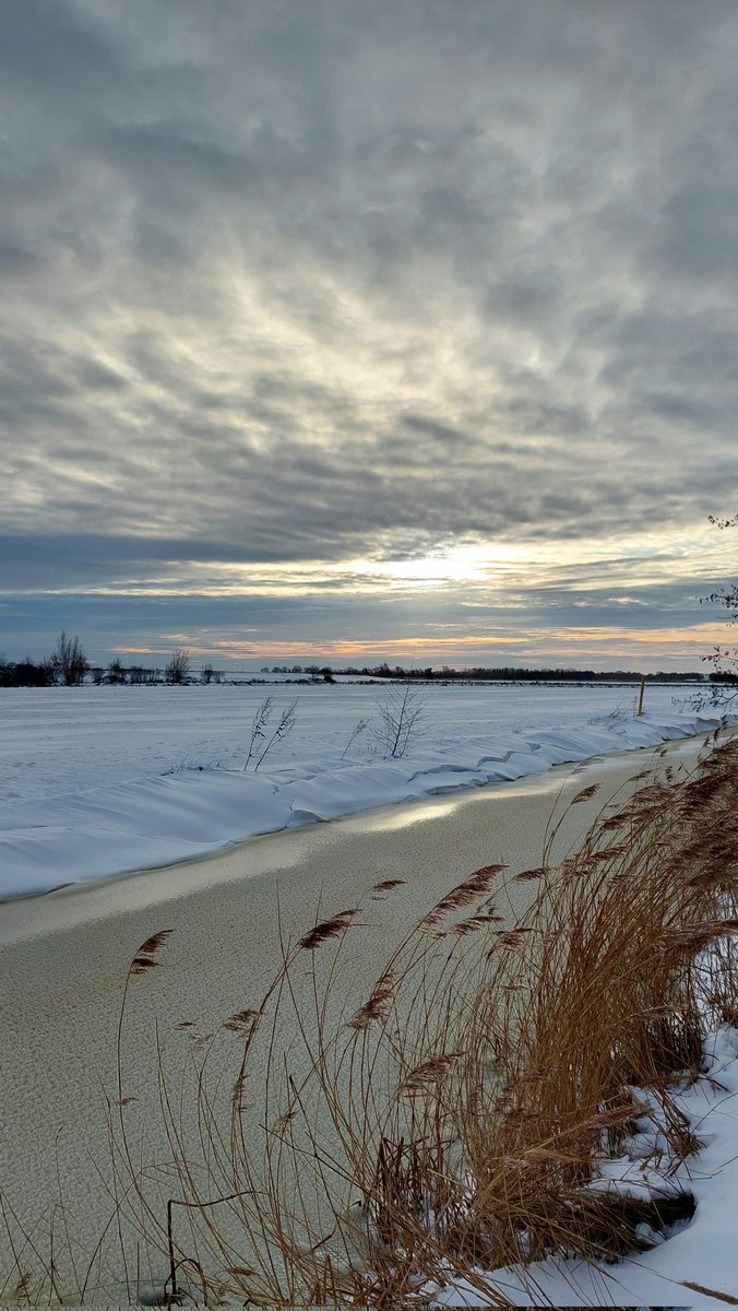 Early morning walk #winter #photography #Netherlands #snow #January #nature