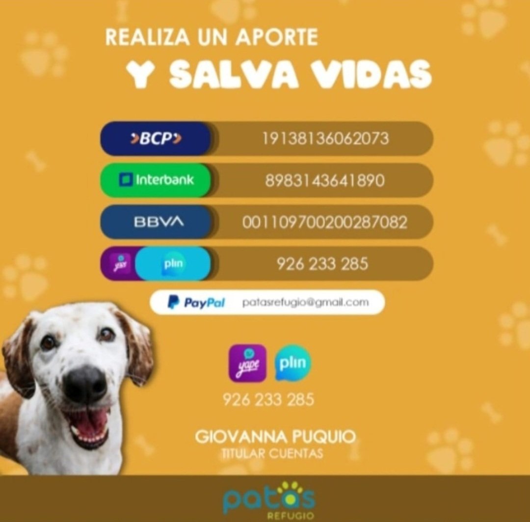 #ACTUALIZACION 
Amigos, Lucas no está respondiendo satisfactoriamente al tratamiento, requiere internamiento URGENTE 
El cuadro infeccioso y la Erliquia nos esta jugando en contra :(
Lamentablemente ha dañado el riñón
Ayúdanos a cubrir su internamiento diario 🙏
#RTpf