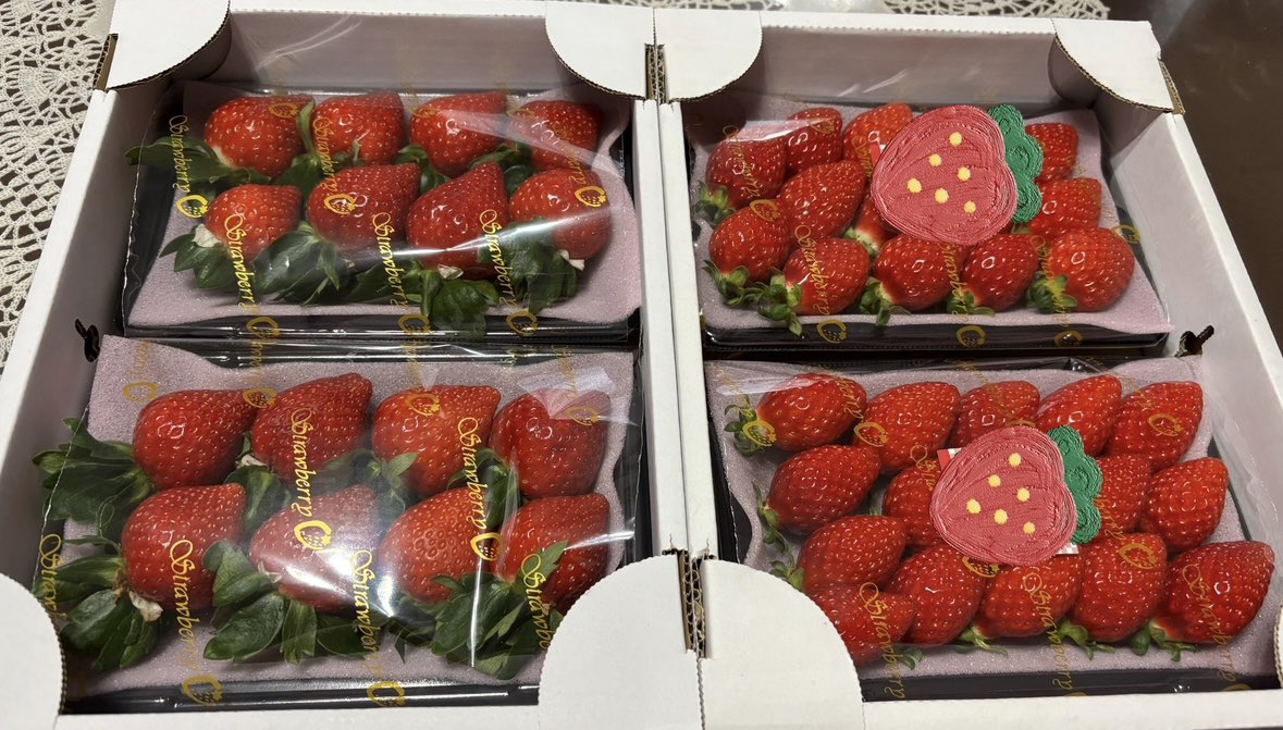 🍚今日の晩ごはん🍚
チキンカツ🐓
サラスパ
油揚げのネギ味噌マヨ焼き
大根油揚げ炒め
白菜と豚バラ汁
ご飯🍚

チキンカツ👩🏻‍🍳
さくさくでジューシー✌🏻

今日は主人といちご園へ🍓🍓🍓🚗💨
あまりん＆べにたま美味しい😋

#チキンカツ
#いちご
#おうちごはん