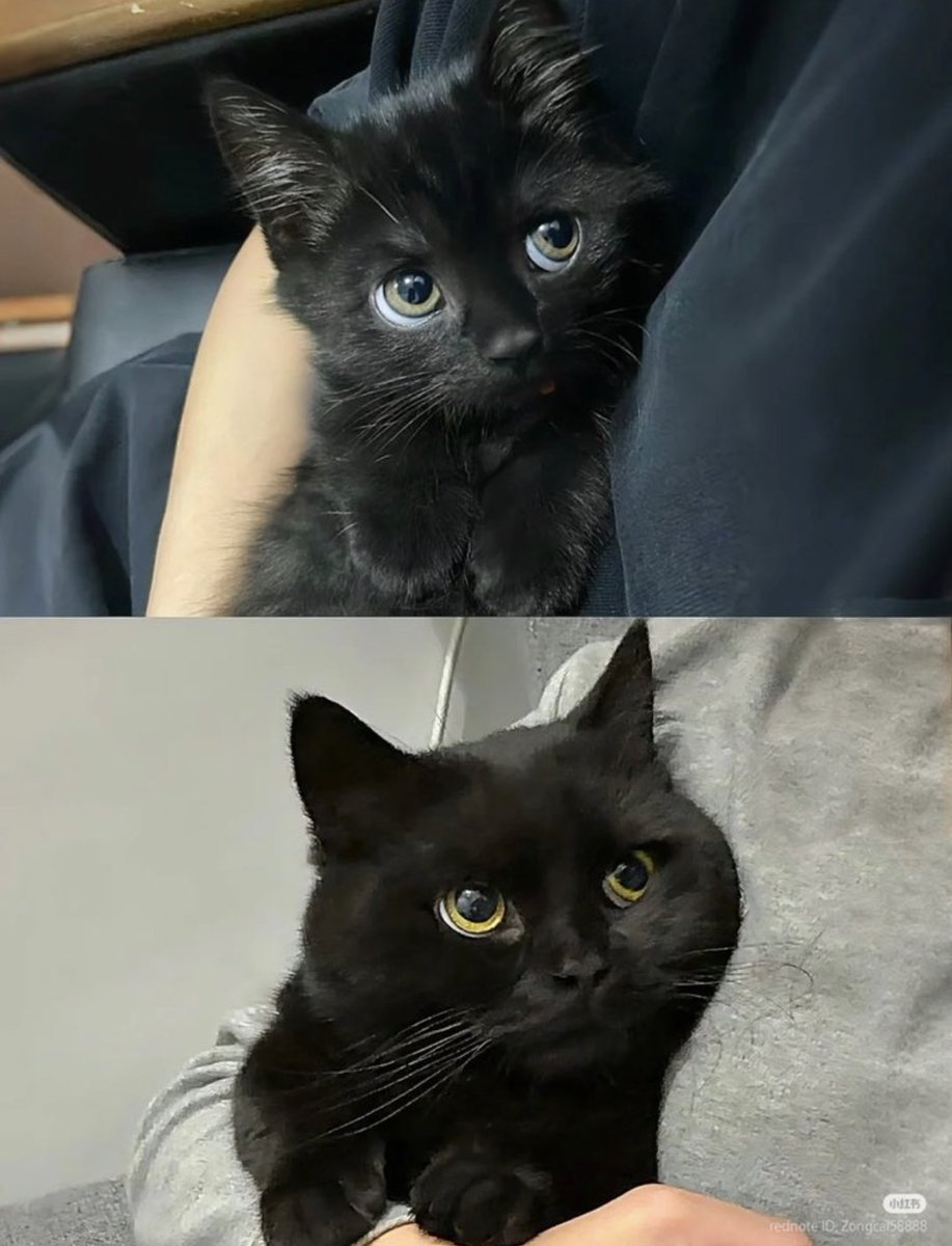 He grew 🥹