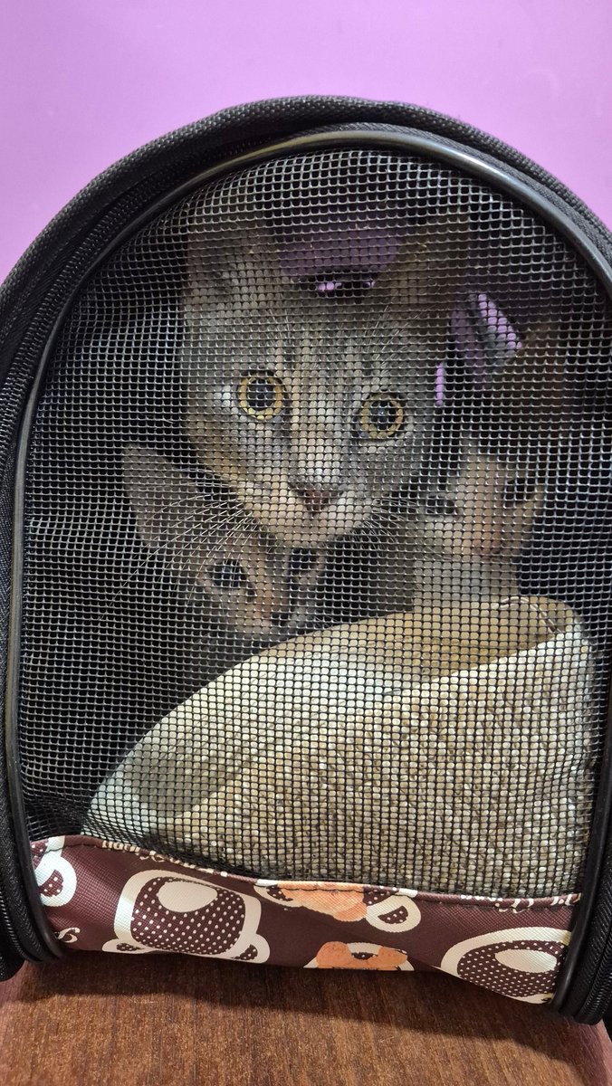 Mucha intriga por aquí... 🤭💫