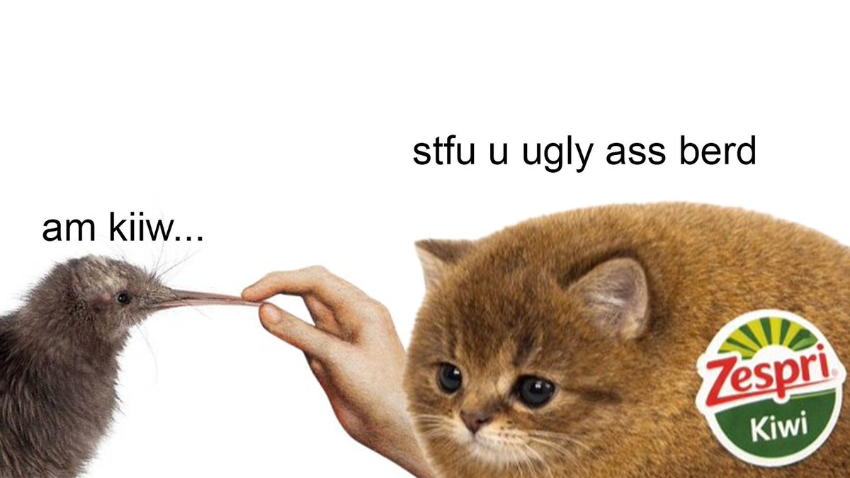 dis ugly berd trying to be kiwi 😾 🐈🥝 KIWILLION