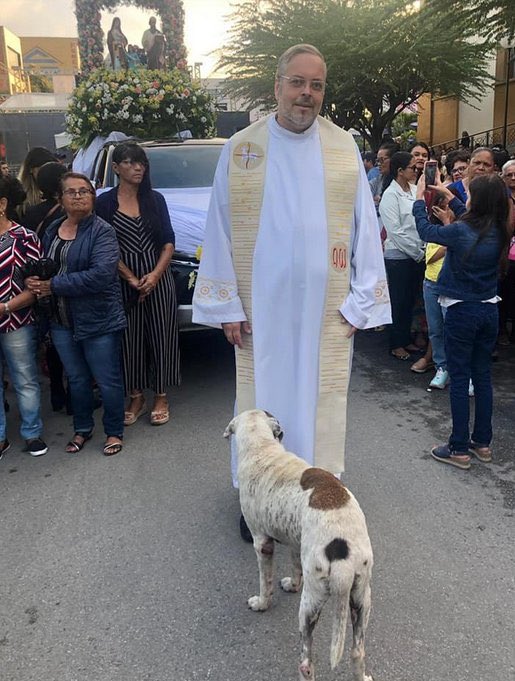 UltimaHoraEC_'s tweet photo. 🙏🐶 Un sacerdote brasileño convirtió su parroquia en un refugio temporal para perros callejeros. Cada domingo, los presenta en misa para que encuentren un hogar lleno de amor. Ya son más de 200 los caninos que han sido adoptados gracias a esta iniciativa que une fe y compasión. https://t.co/btAAqrdJNp