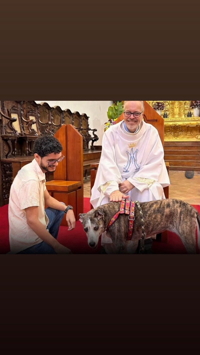 UltimaHoraEC_'s tweet photo. 🙏🐶 Un sacerdote brasileño convirtió su parroquia en un refugio temporal para perros callejeros. Cada domingo, los presenta en misa para que encuentren un hogar lleno de amor. Ya son más de 200 los caninos que han sido adoptados gracias a esta iniciativa que une fe y compasión. https://t.co/btAAqrdJNp
