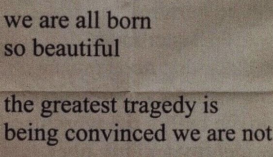 Literariium's tweet image. 